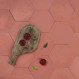 Uni Hexa Tiles | Suddart